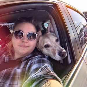 Meet your Posher, Avery